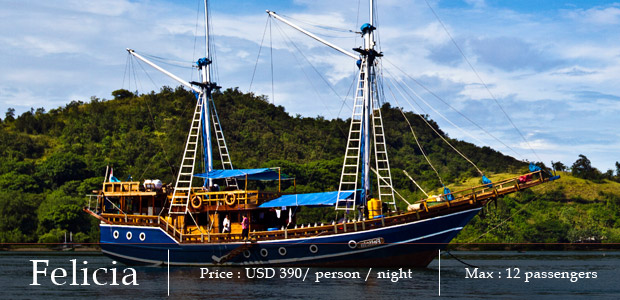 felicia liveaboard komodo